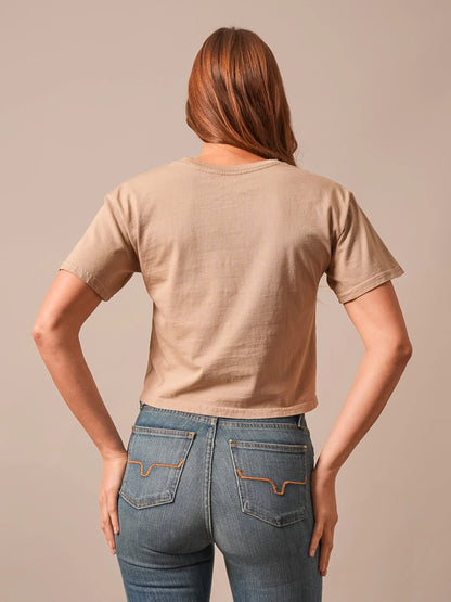 Lasso Script