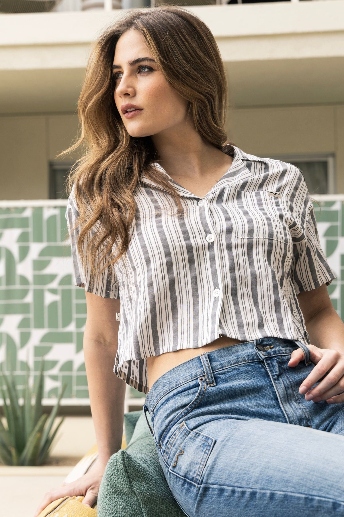 Ferris Top